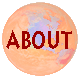 About Swelter Designs